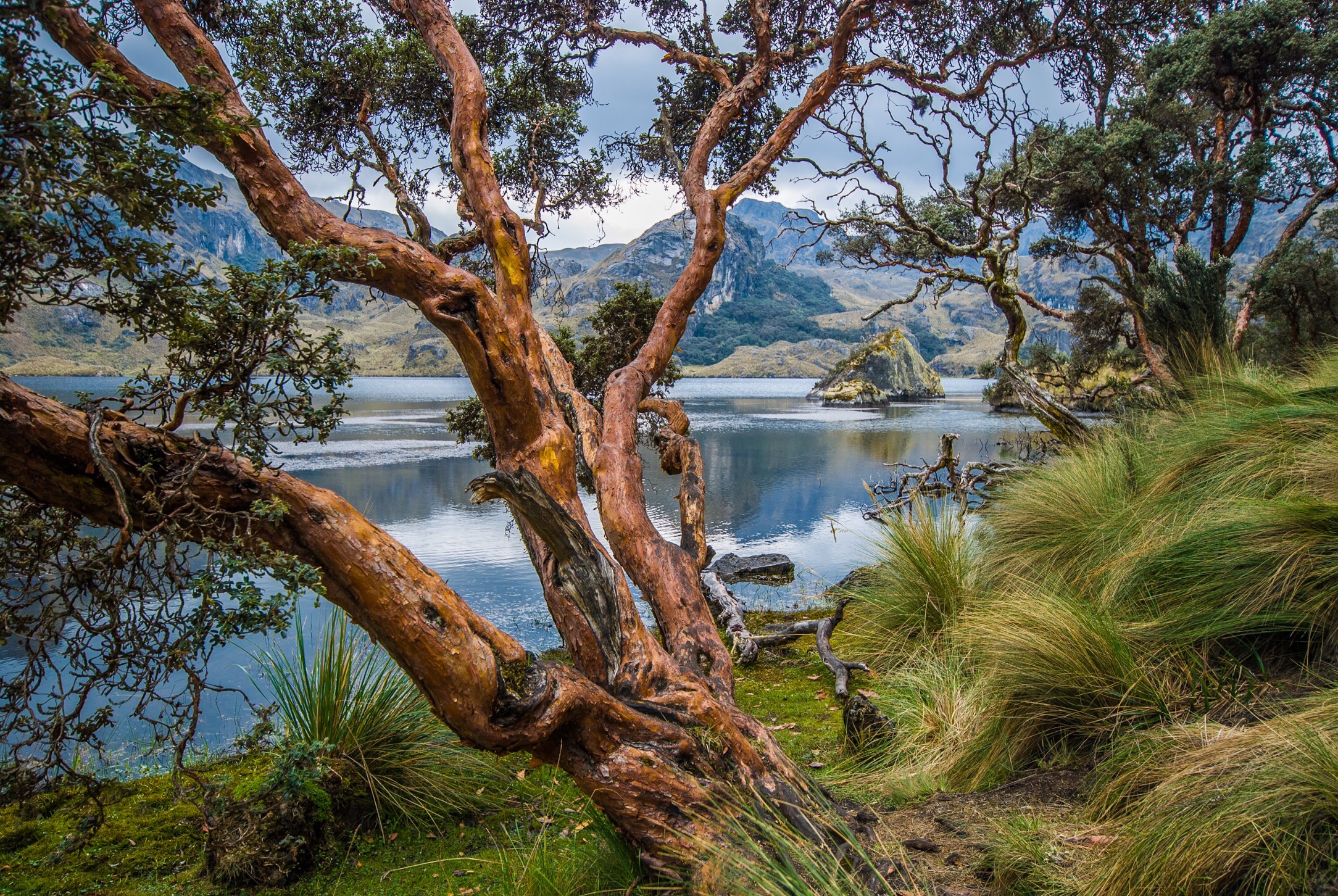 Parque Cajas, Ecuador Charlie Winn