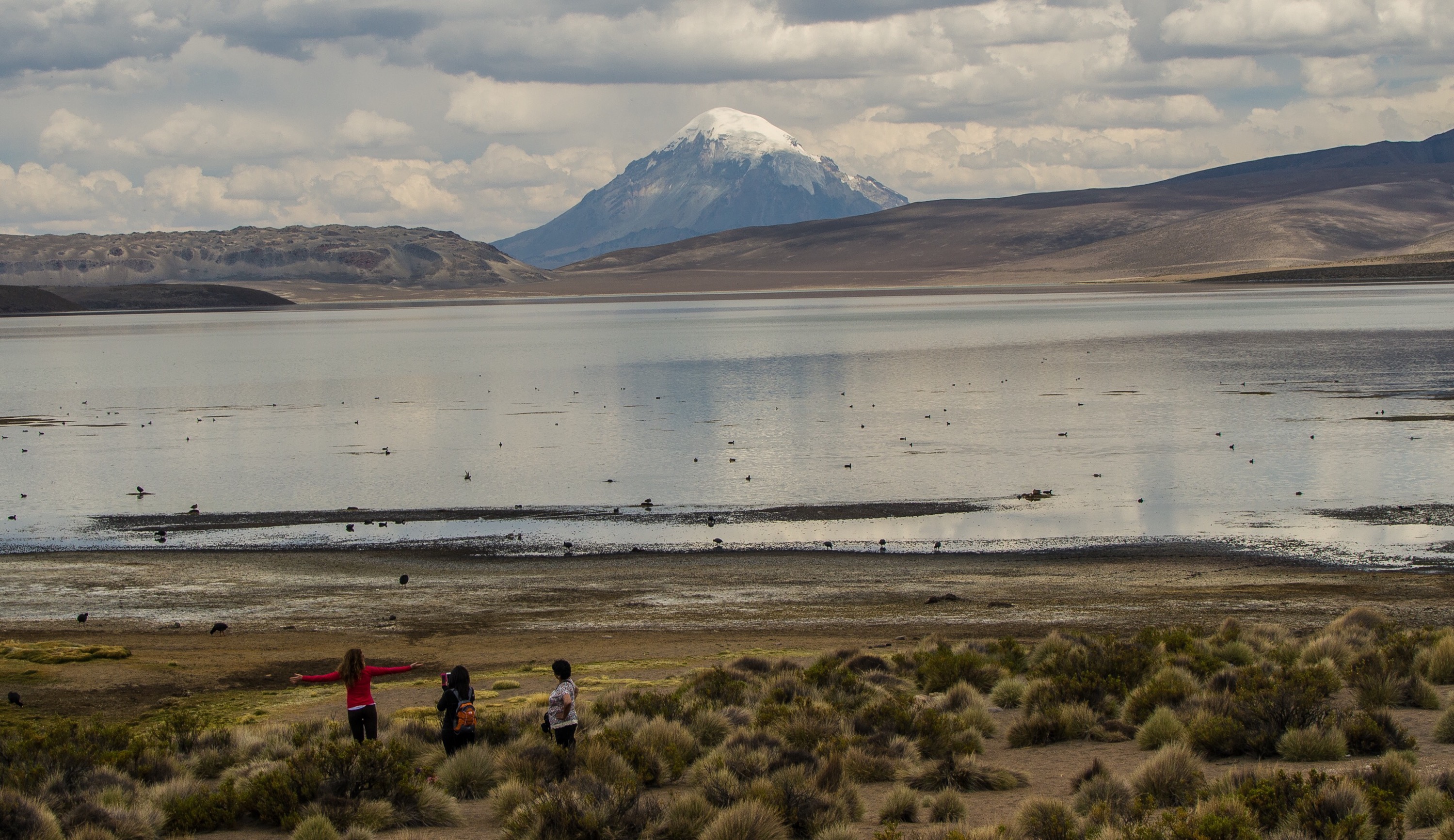 Parque Lauca Charlie Winn