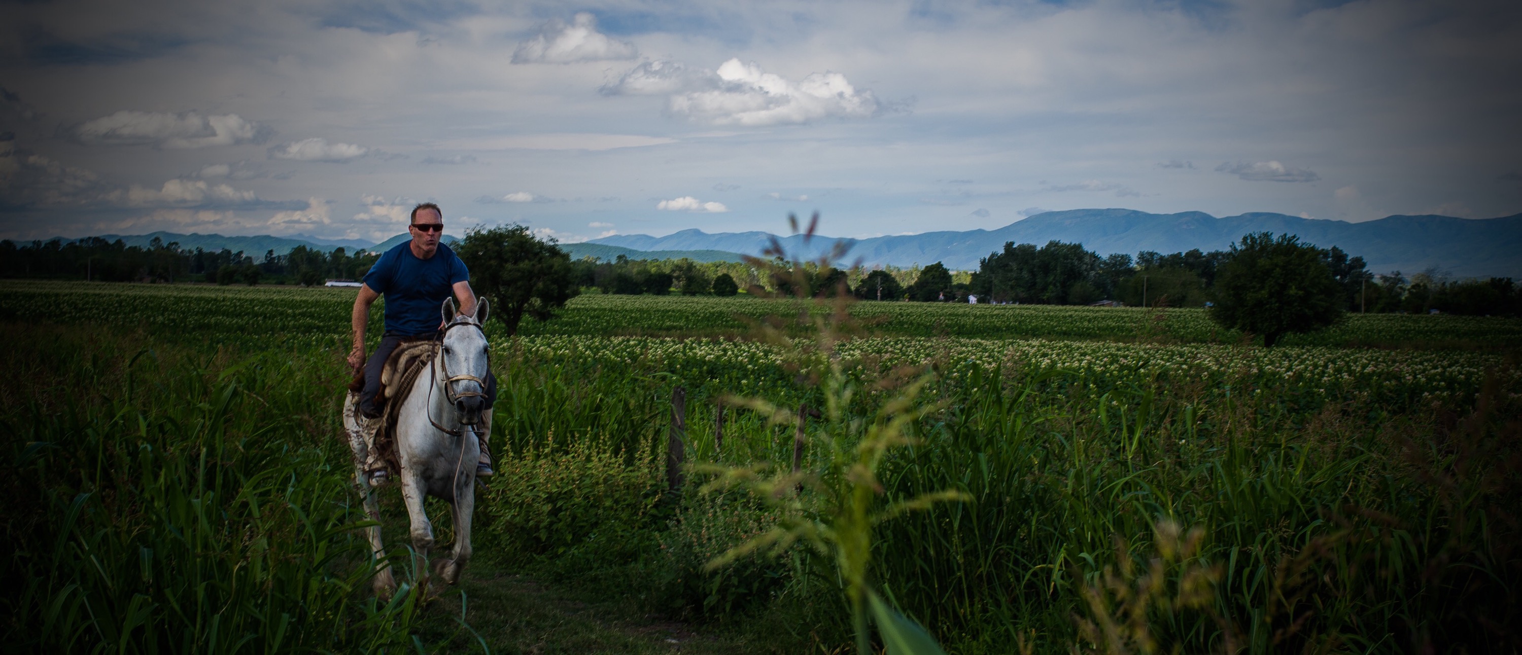 Galloping, Sayta Ranch Charlie Winn
