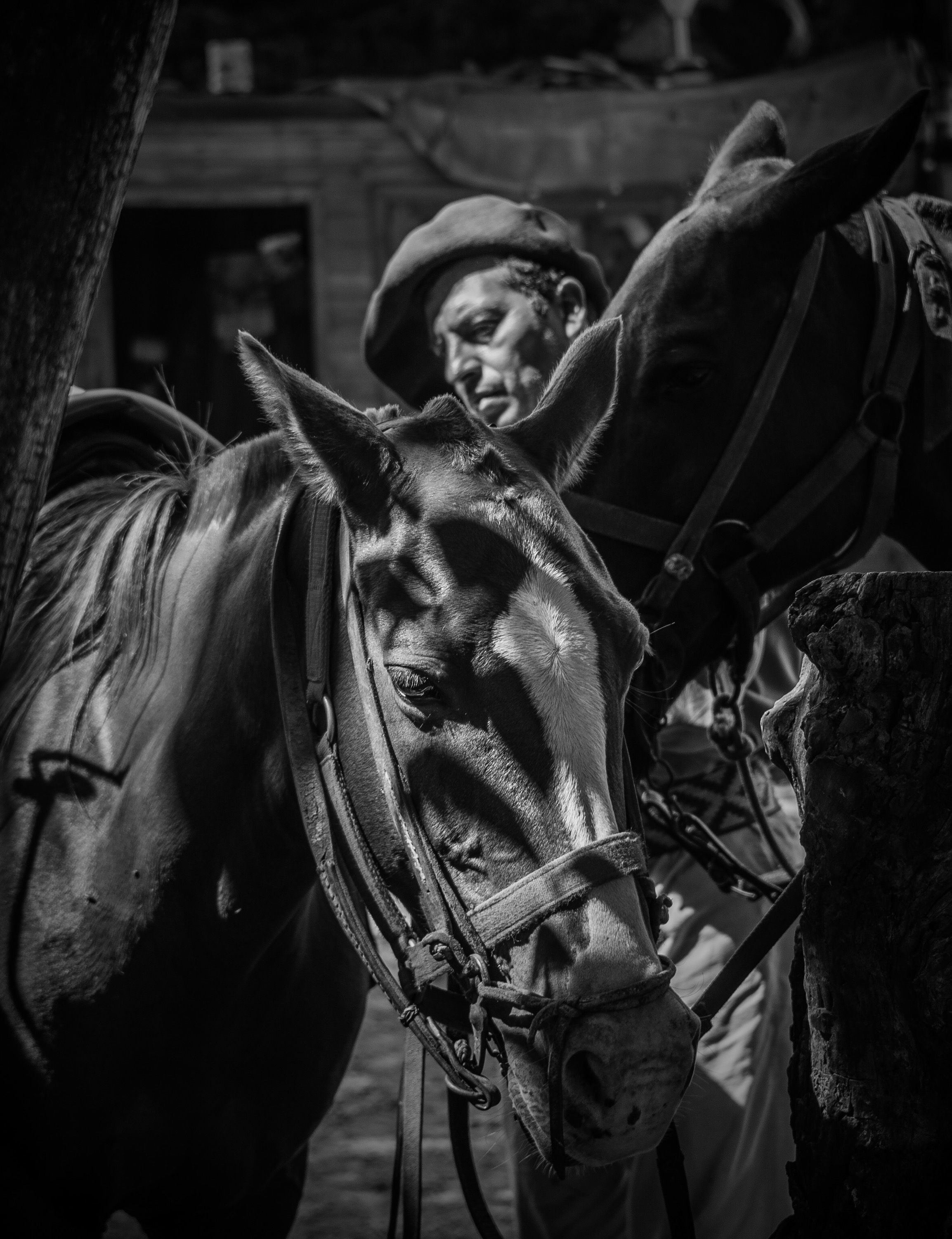 Gaucho with horses Charlie Winn